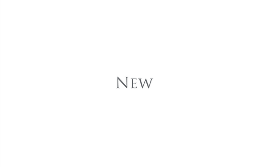 New Item Id Tag & Signet Ring