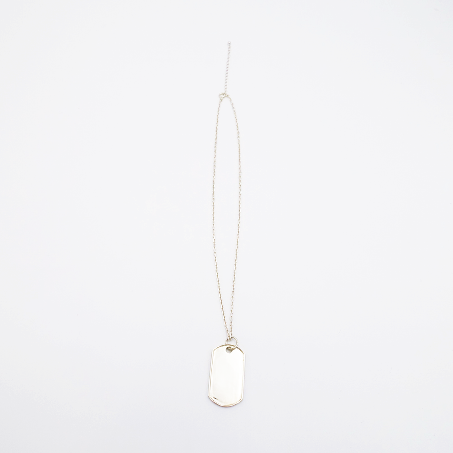 Narrow Chain Necklace