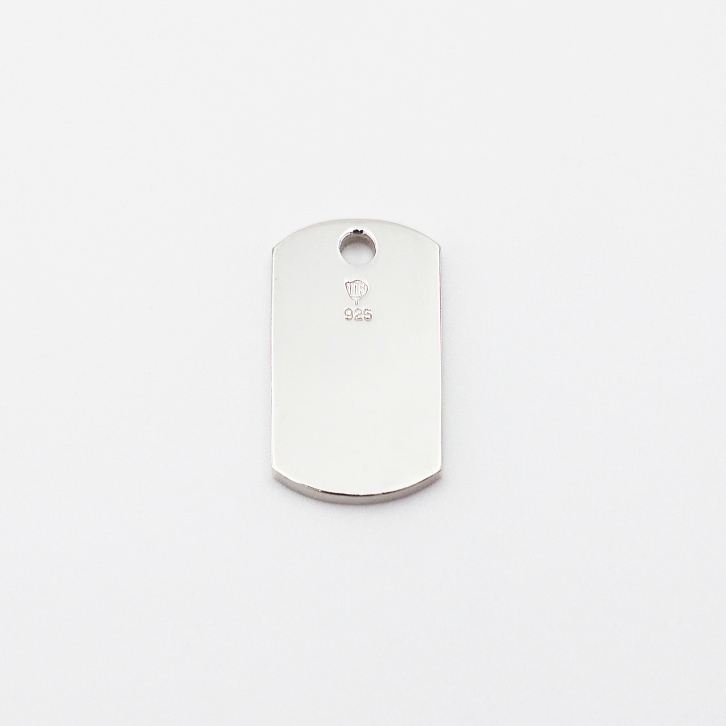 Plate-S ID Tag Chain Necklace