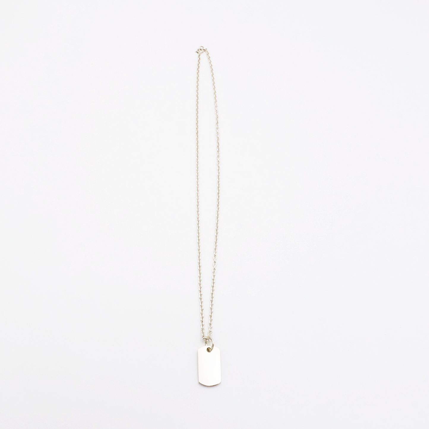 Plate-S ID Tag Chain Necklace